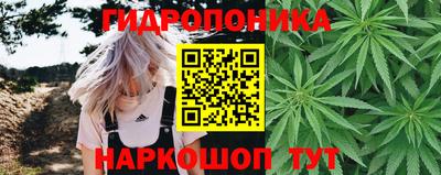 кокаин Гатчина